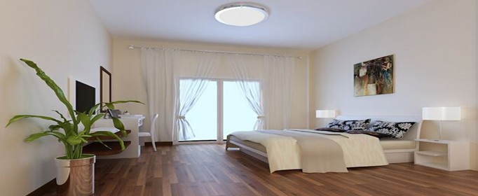 怎么样除甲醛 timg.jpg